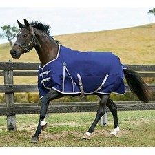 Horse Turnout Rug Weatherbeeta