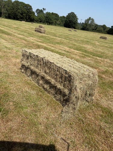 Large square bales hay - square,