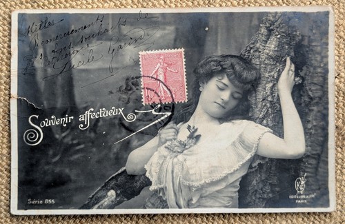 Edwardian french glamour - edwardian,