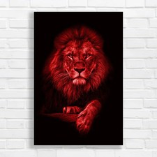 Majestic Lion Black and White