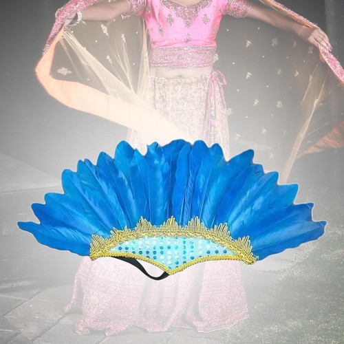 Feather headdress costume - feather,