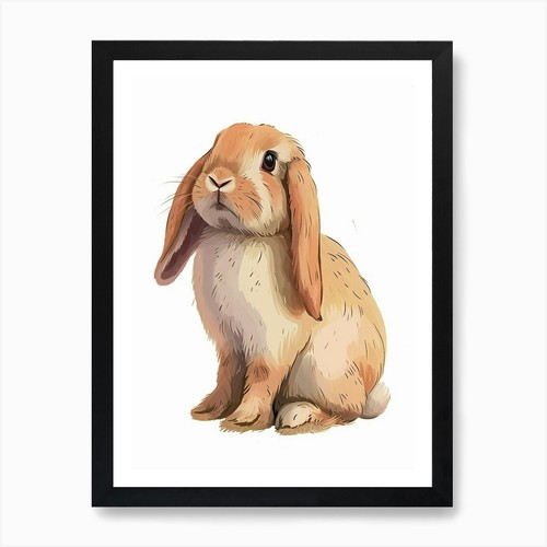 Holland lop rabbit kids - holland,