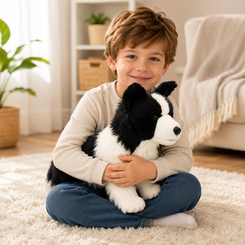 Chase border collie - chase,