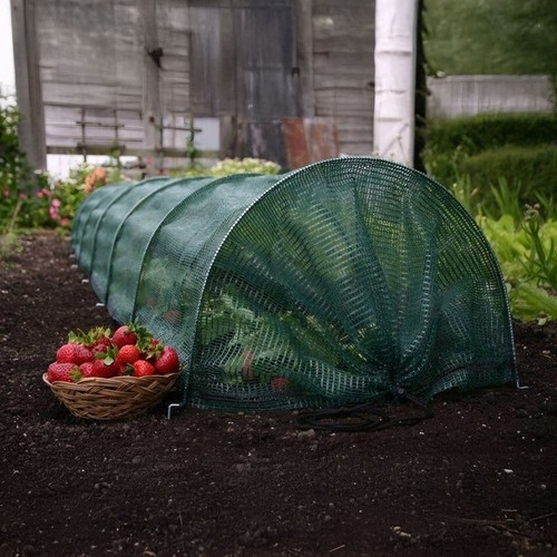 Garden grow tunnel - garden,