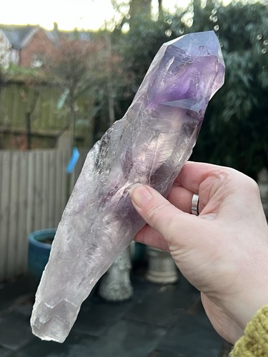Amethyst wand root - /, long