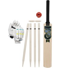 Aion junior wooden cricket - aion,