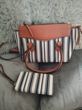 Fiorelli Women's Striped  Bag