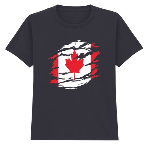 Canadian flag maple leaf - flag,