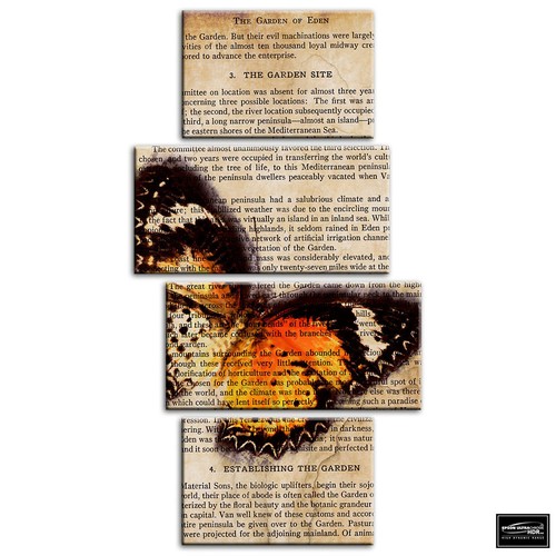 Butterfly vintage collage - butterfly,