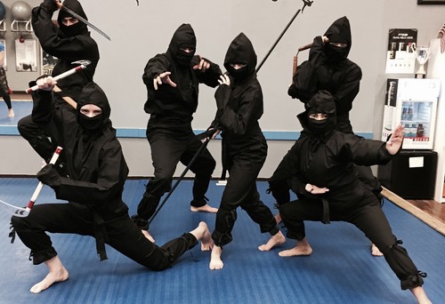 Ninja martial arts - ninja,