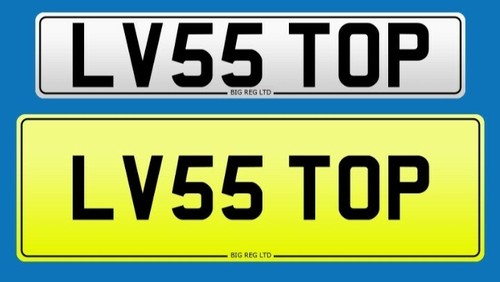 Loves lv55 top love - lv55,