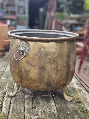 Vintage large brass - vintage, jardiniere