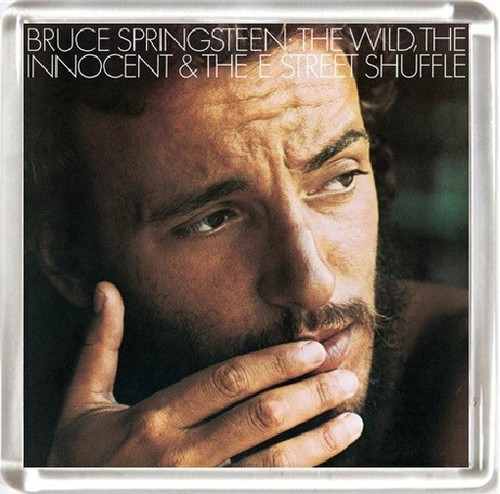 Bruce springsteen the - bruce, wild