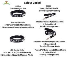 Strong As Leather Colour Coded S M XL Collar Or Lead By Friendly Dog Collars