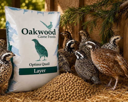 5kg quail food oakwood - quail,