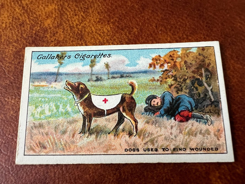 Gallaher the great war - -,