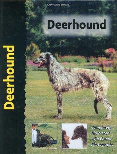 Deerhound cunliffe juliette - deerhound,