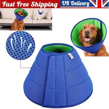 Pet Recovery Lightweight Dog