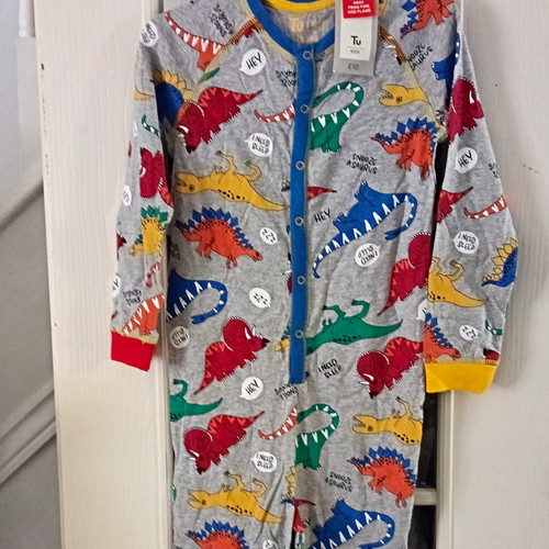 Boys dinosaur graphic - tu,