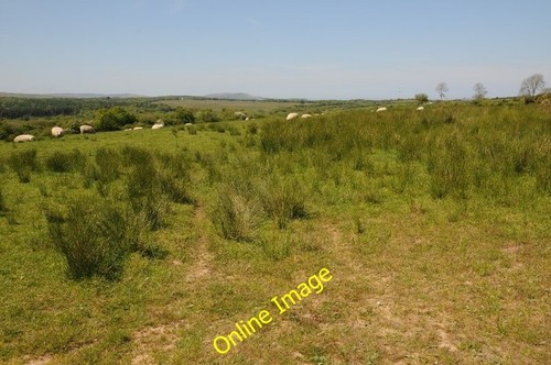 Photo 6x4 grazing land near - grazing,