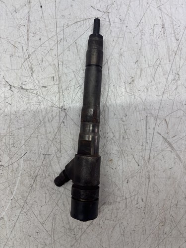 Injector 504389548 0445110418