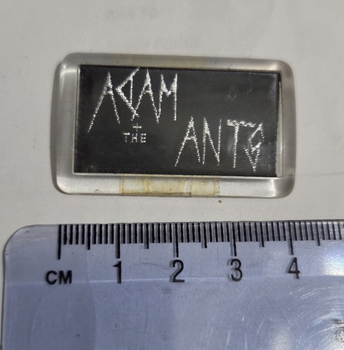 Adam the ants ant - adam,
