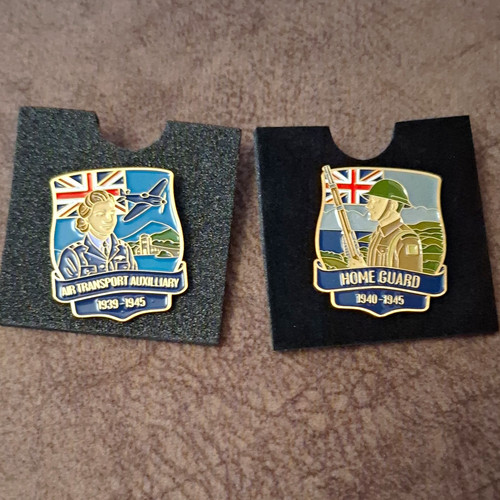 Enamel military badge pins - enamel,