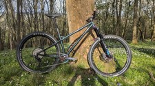 Ragley BigWig Race 29er steel