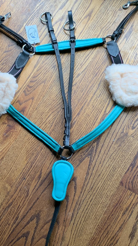 New breastplate pt - new,