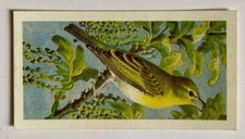 Brooke bond wild - bond, birds