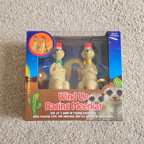 Wind racing meerkats - meerkats,