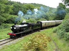 Photo 12x8 Dean Forest Railway at Upper Forge Visiting T9 class locomotive c2016