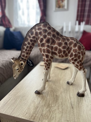 Vivid arts large giraffe - arts,