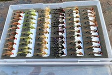 eliteflies 60 Competition