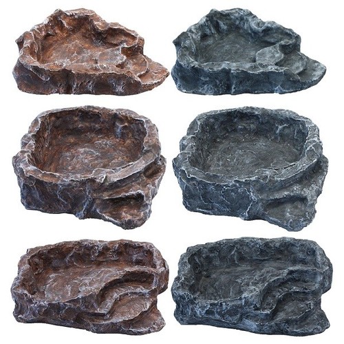Komodo stone terraced reptile - komodo,