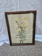 Oak Framed Botanical Print