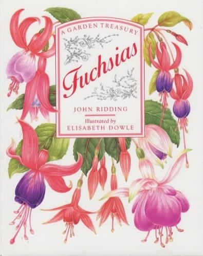 Fuchsias - , treasury