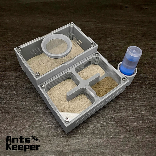 Section ant nest - nest, habitat
