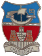 Charmouth Village Small Pin