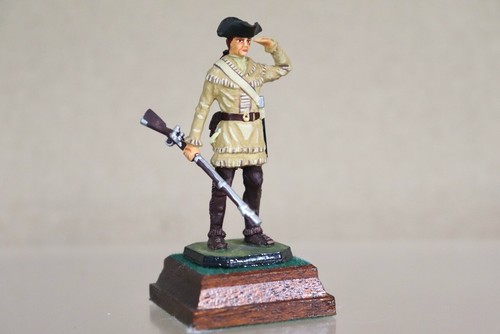 Rose miniatures american war - rose,