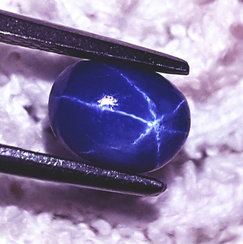 Rays natural star blue - rays,