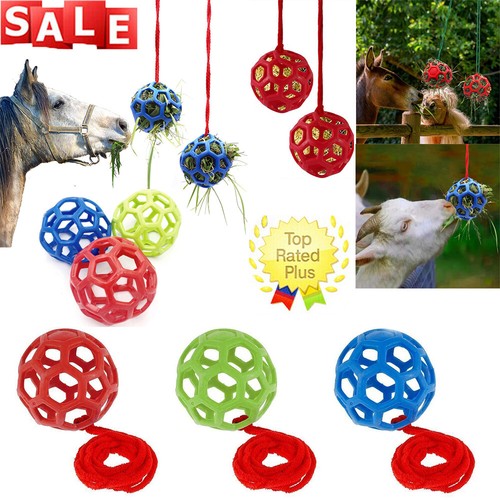 Horse treat ball play - ball,