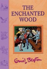 The Enchanted Wood (Faraway