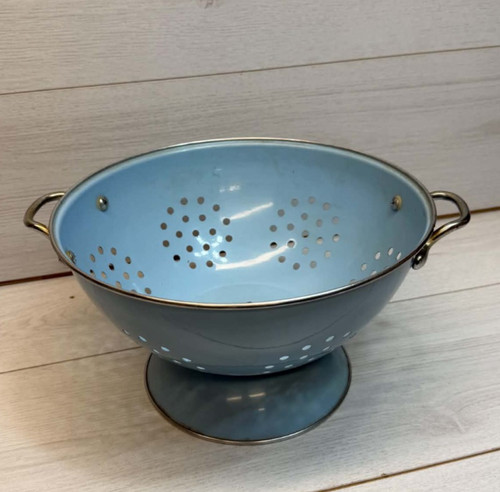Vintage retro duck egg - duck,