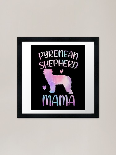 Pyrenean shepherd dog - mama, mom