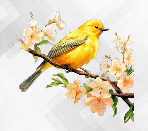 Spring blue jay - , vinyl