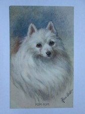 Portrait of a Pom Pom Vintage Dog Postcard K24