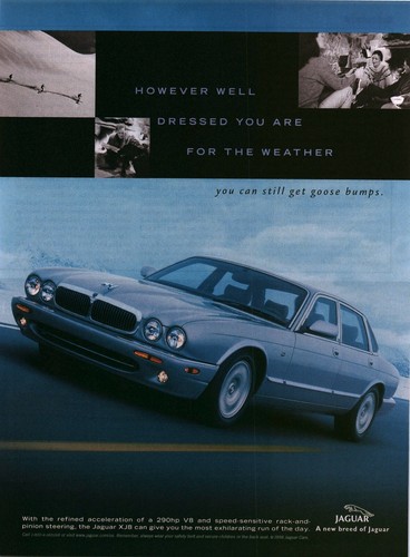 1998 vintage print jaguar - print,