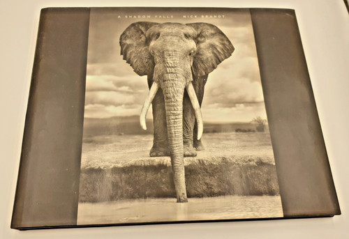 Nick brandt shadow falls - nick,