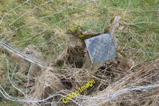Photo 6x4 Fence of its own